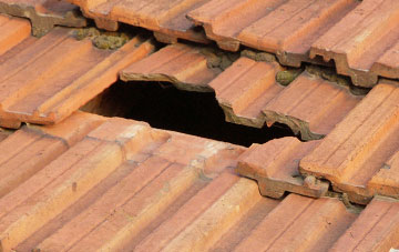roof repair Westnewton